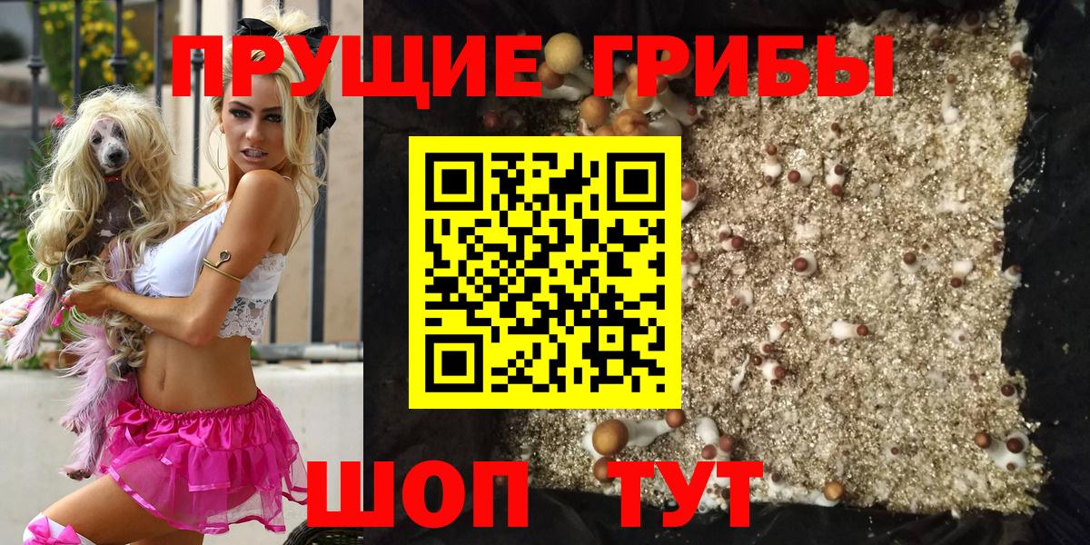 Галлюциногенные грибы Psilocybine cubensis Белогорск